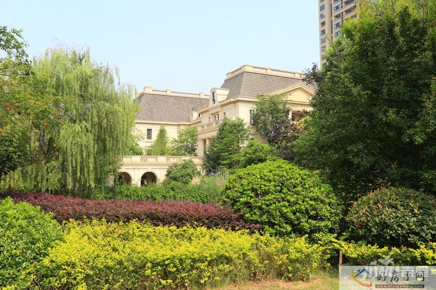 实景图