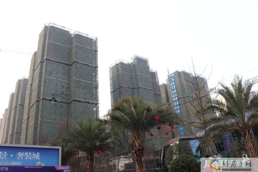 实景图