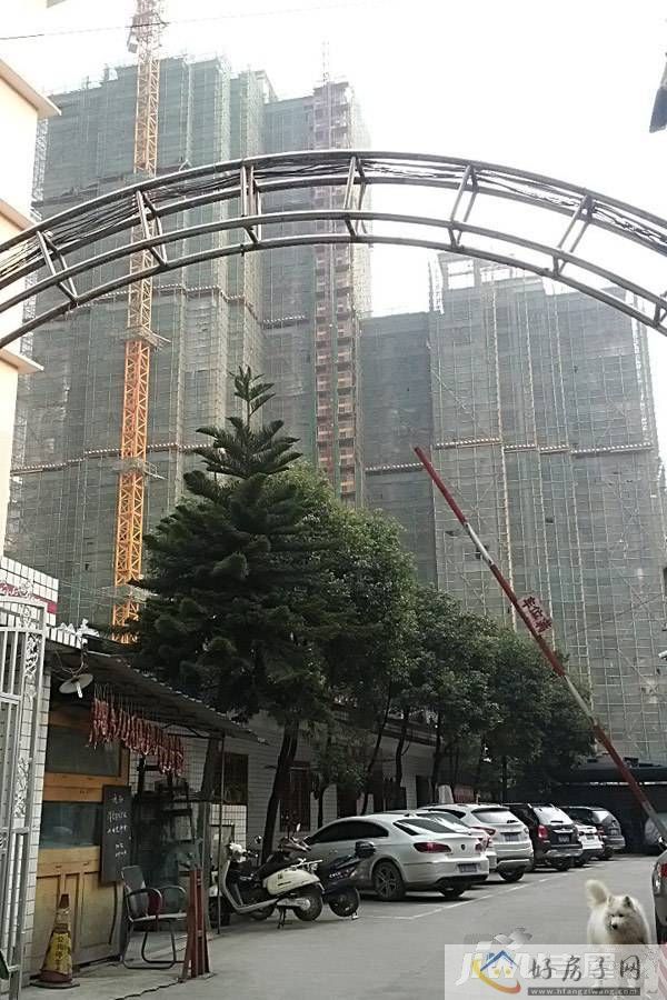 实景图