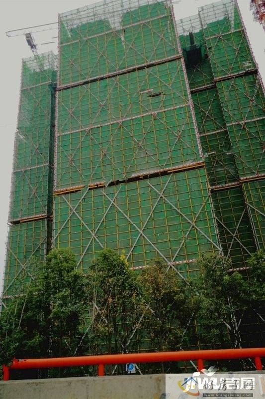 实景图