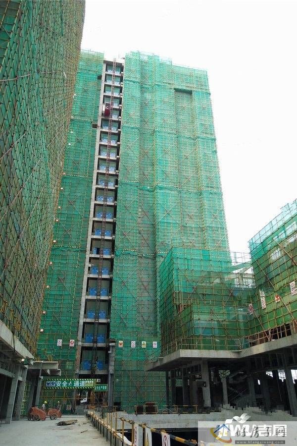 实景图
