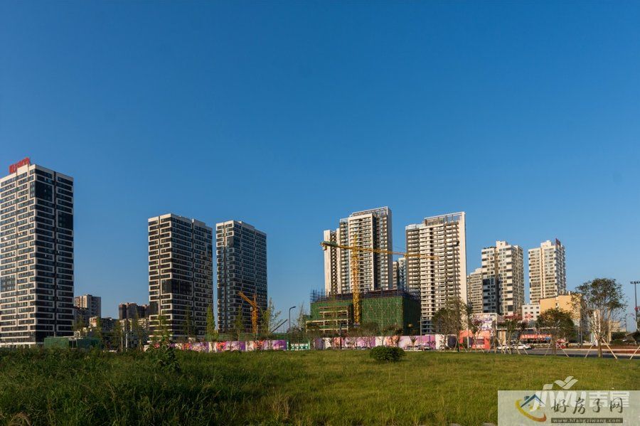 实景图