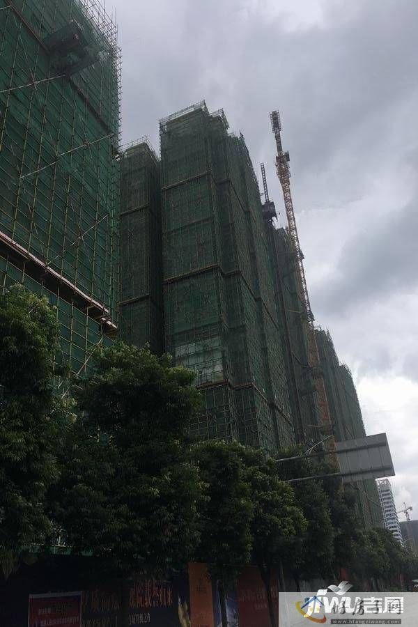 实景图