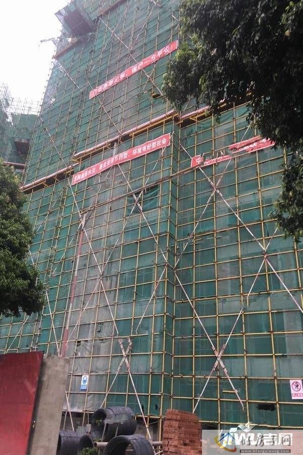 实景图
