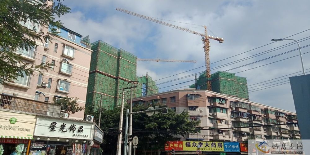 实景图