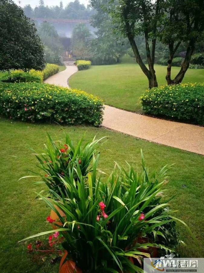实景图