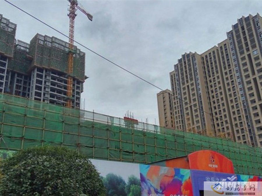 实景图