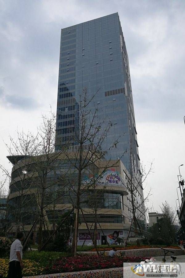 实景图