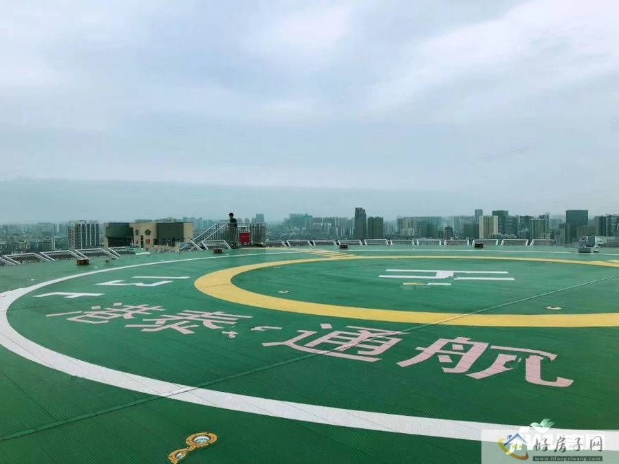 实景图