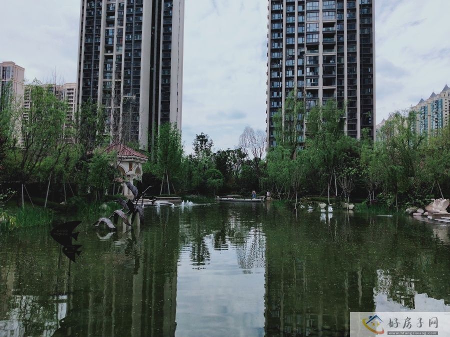 实景图