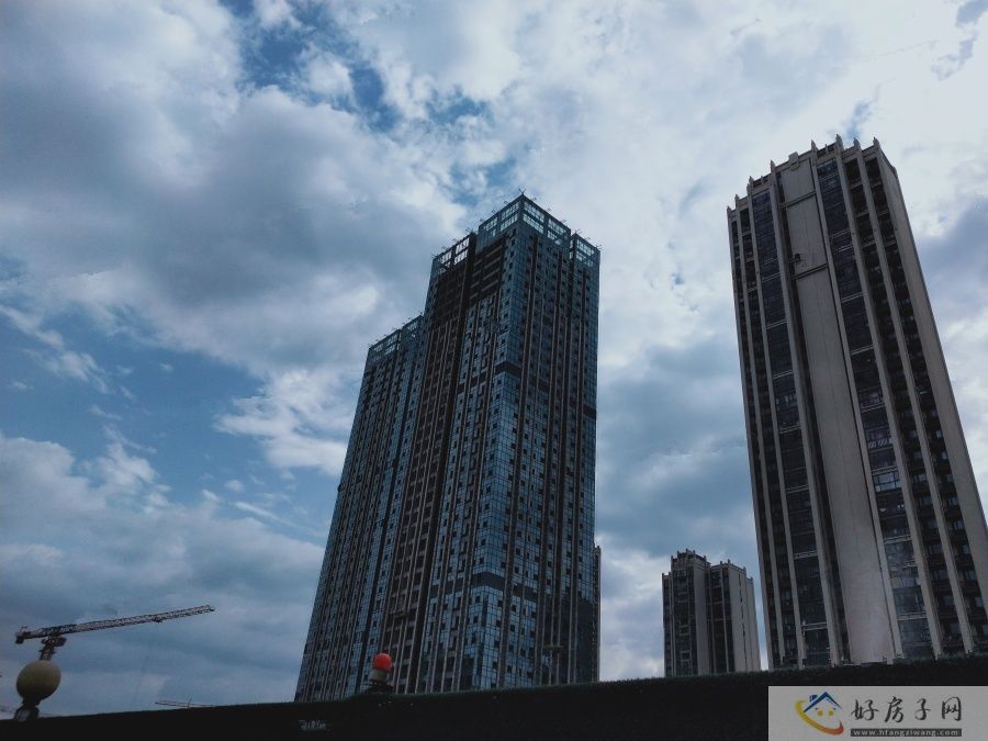 实景图