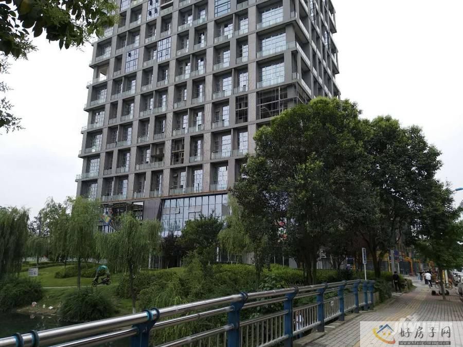 实景图
