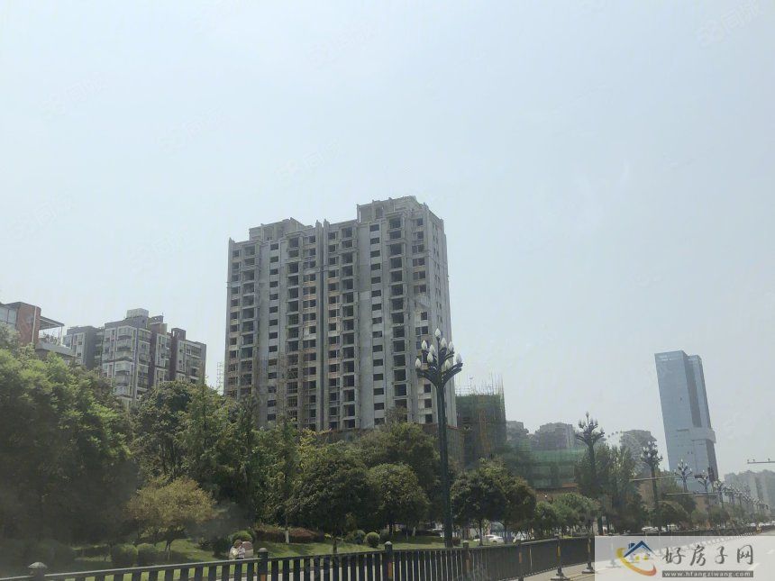 实景图