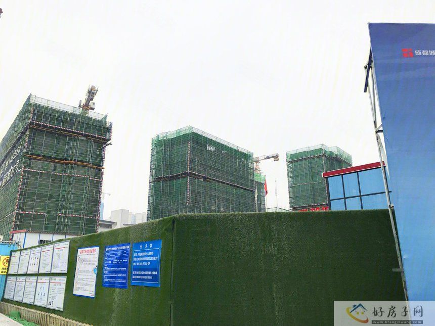 实景图