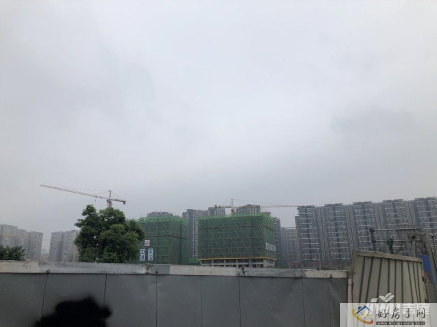 实景图