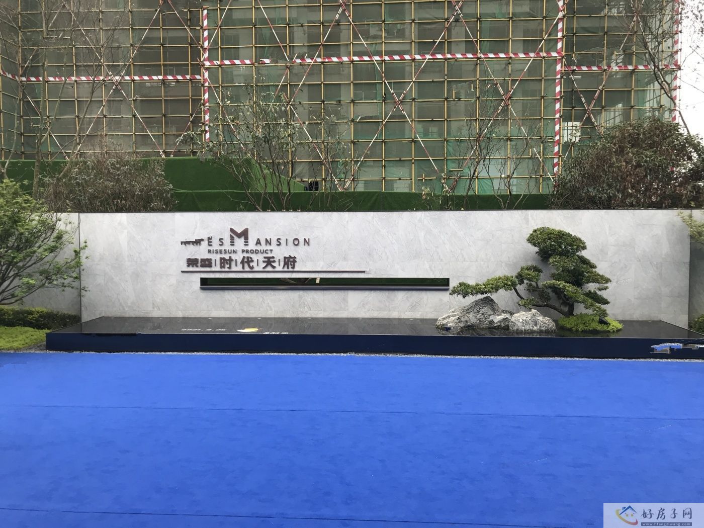 实景图