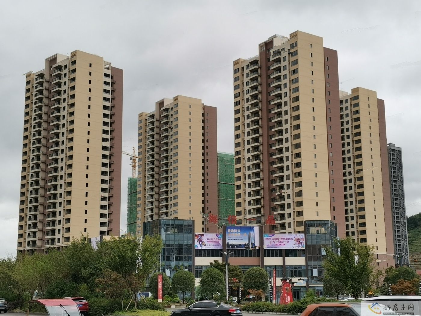 实景图