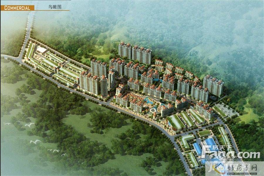实景图