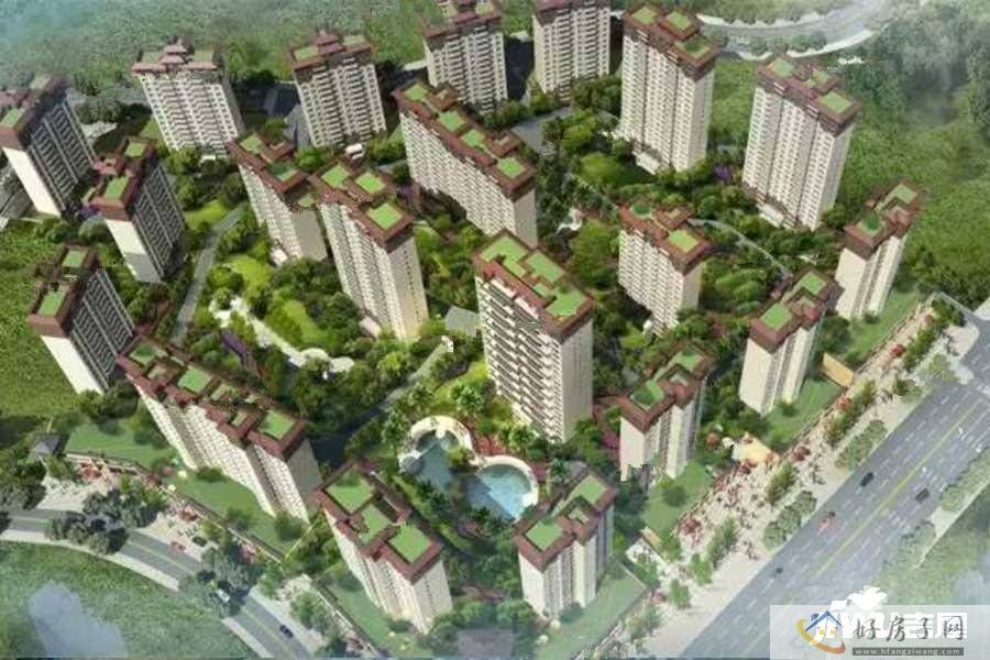 实景图