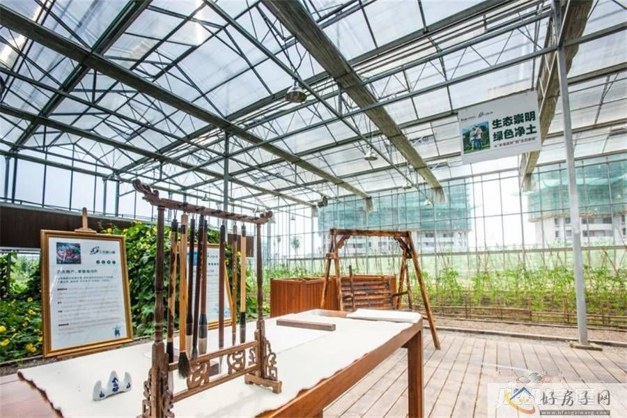 实景图