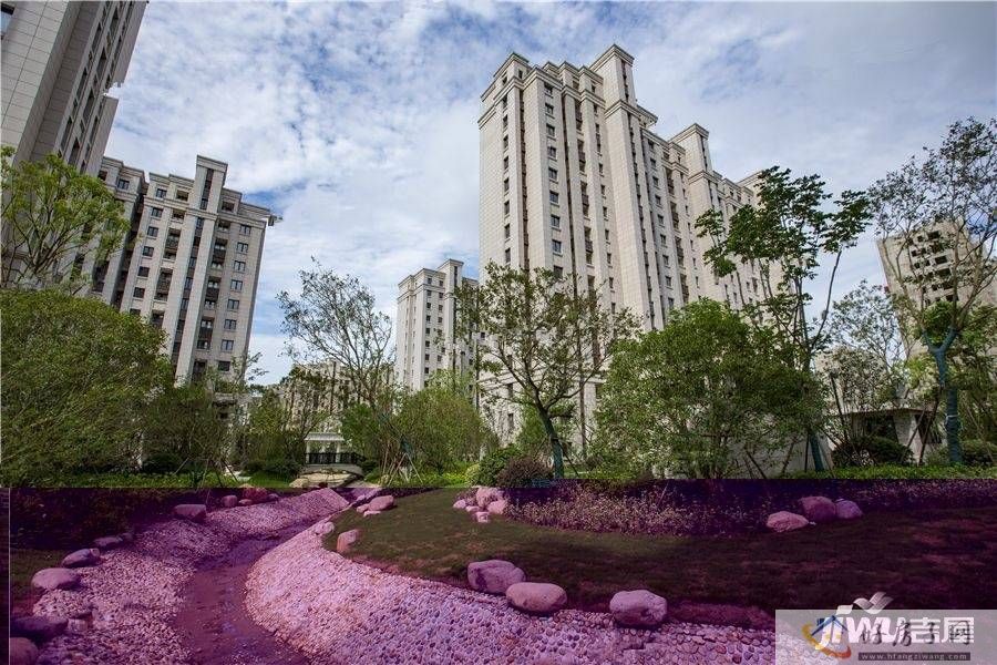 实景图