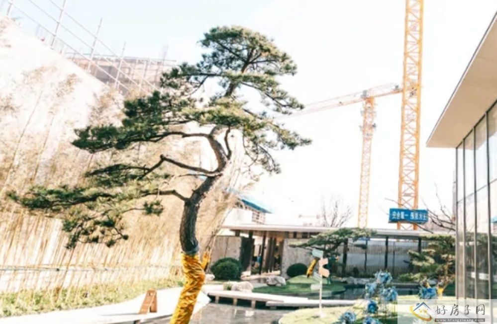 实景图