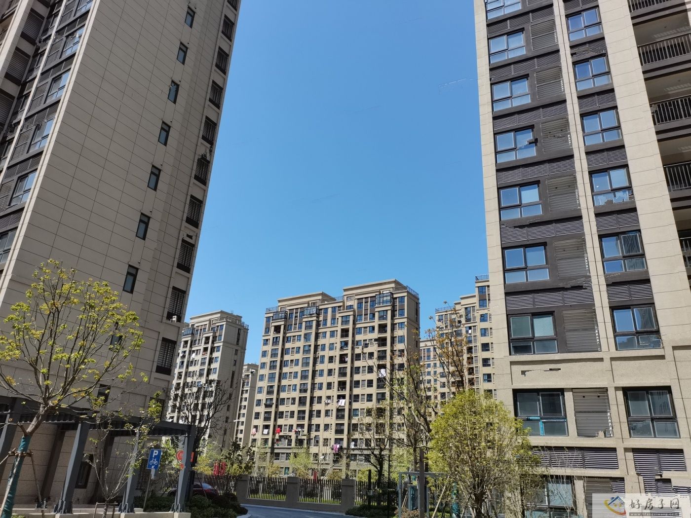 实景图