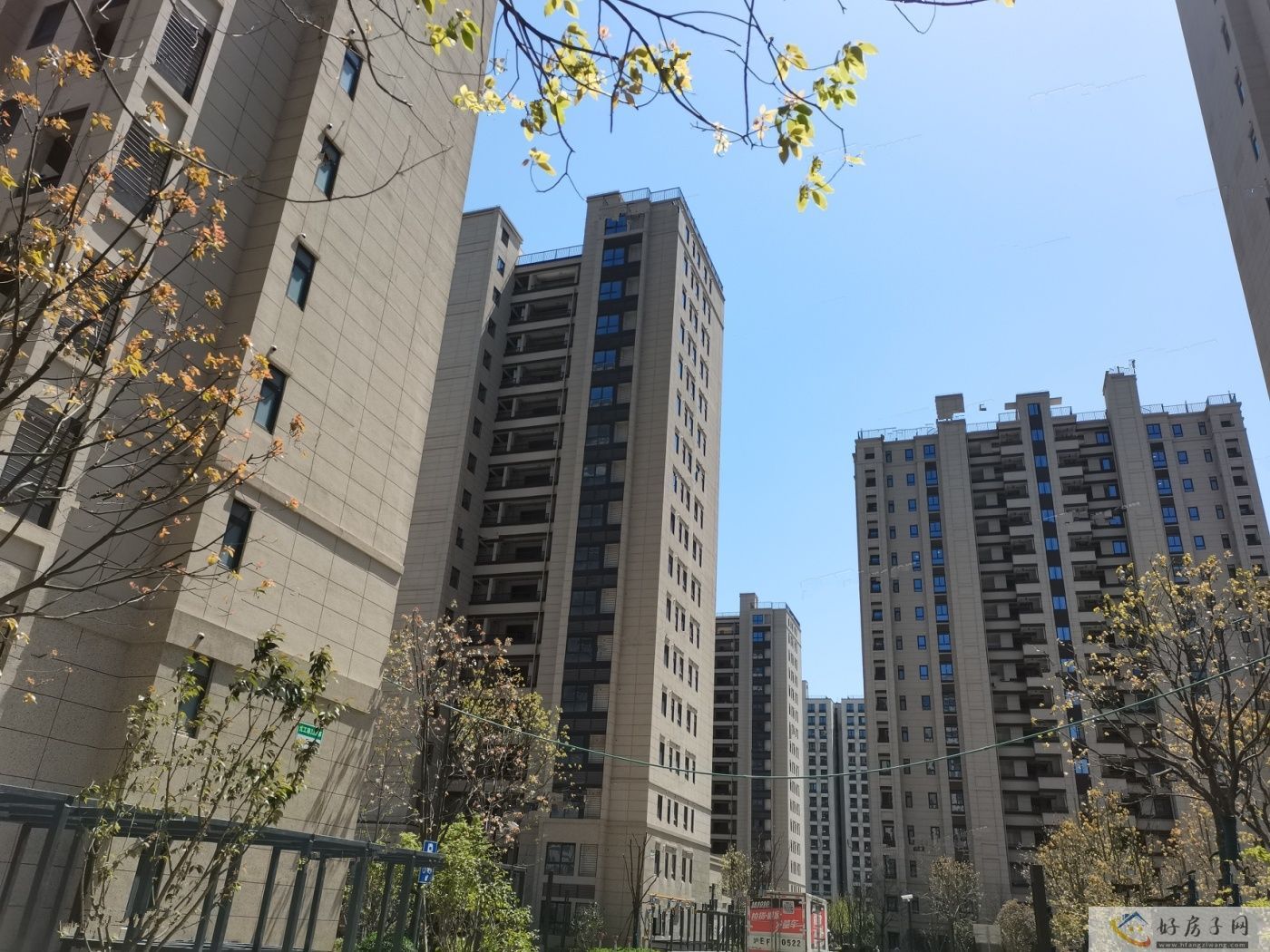实景图