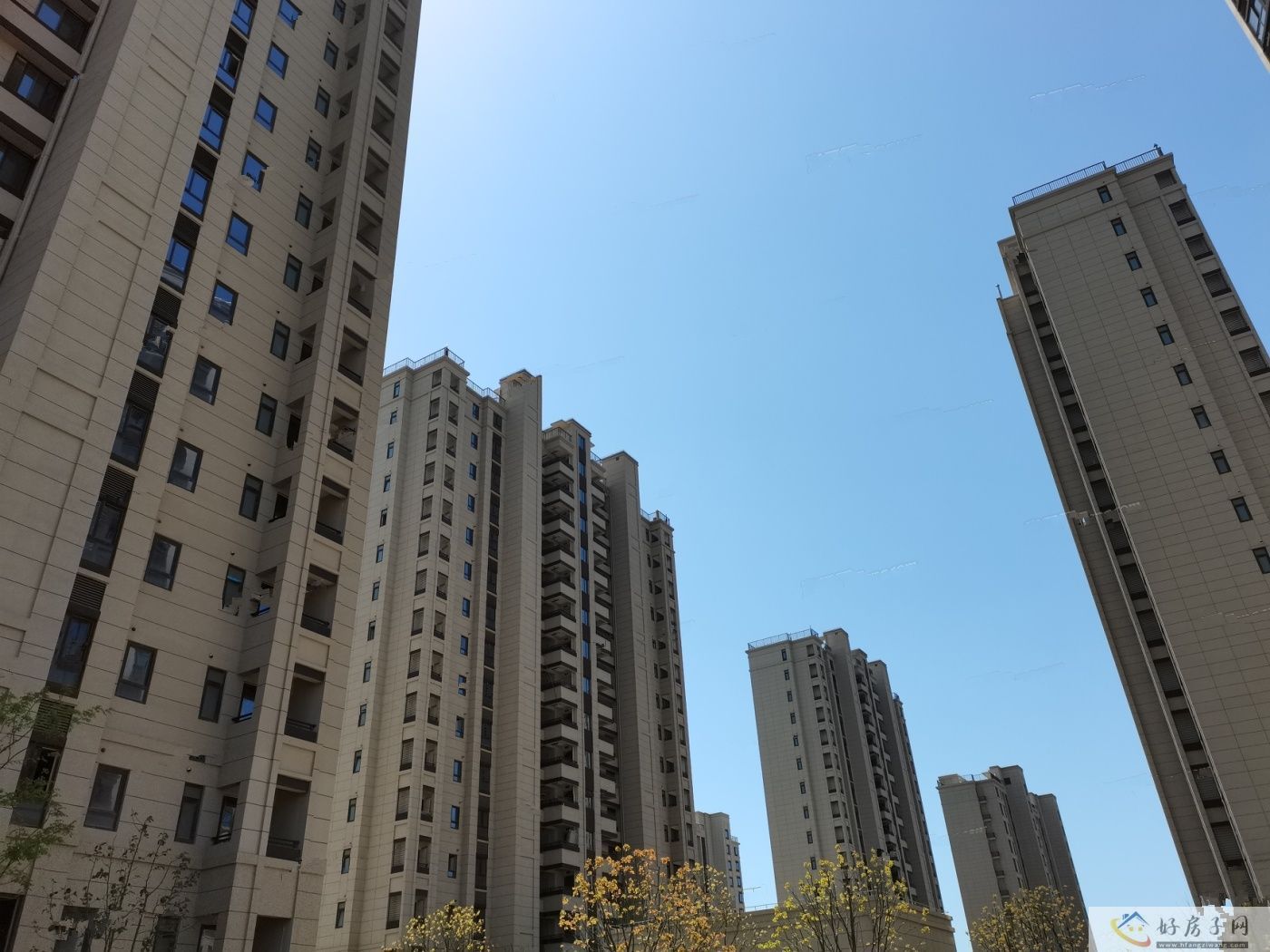 实景图