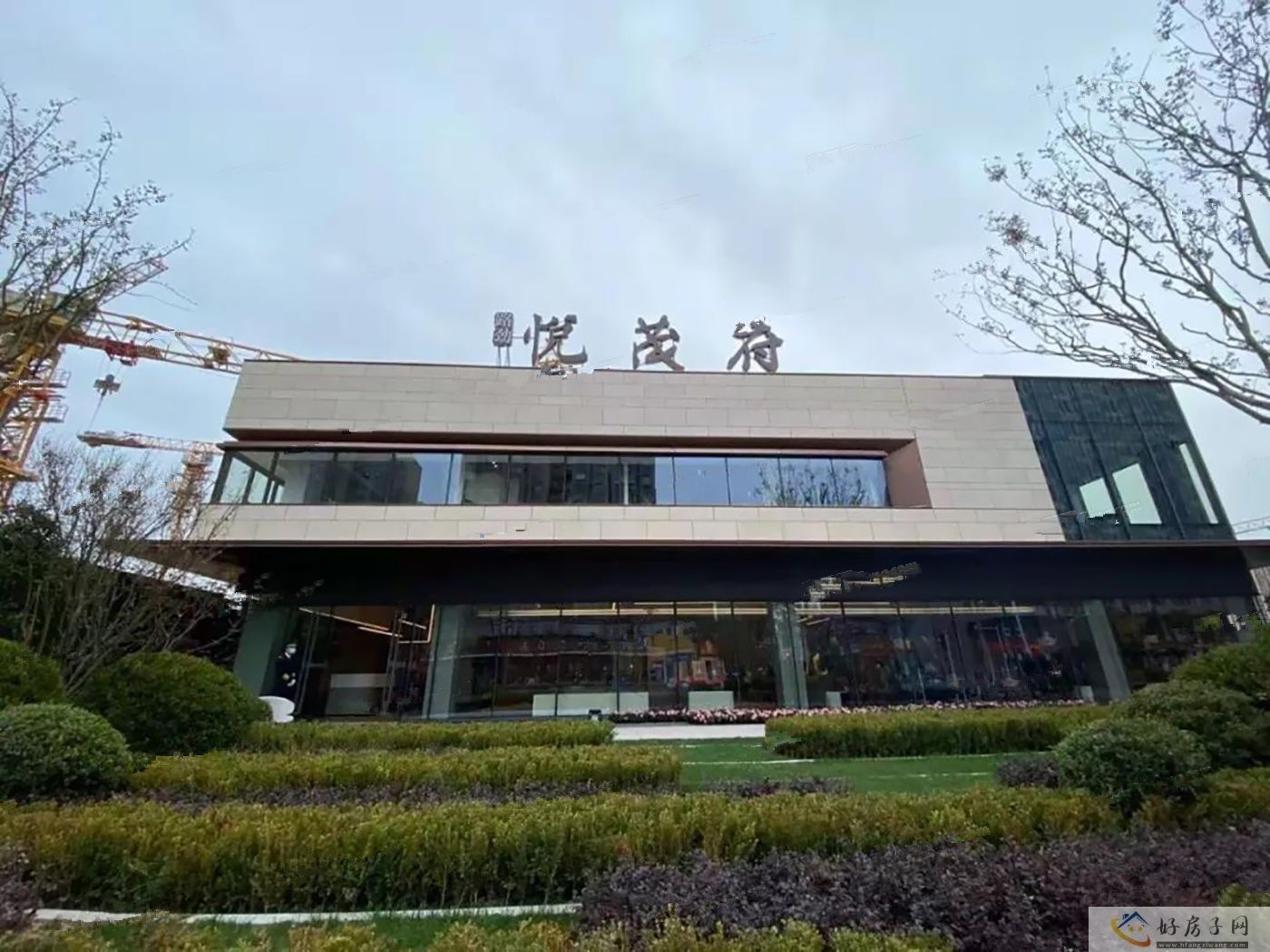实景图