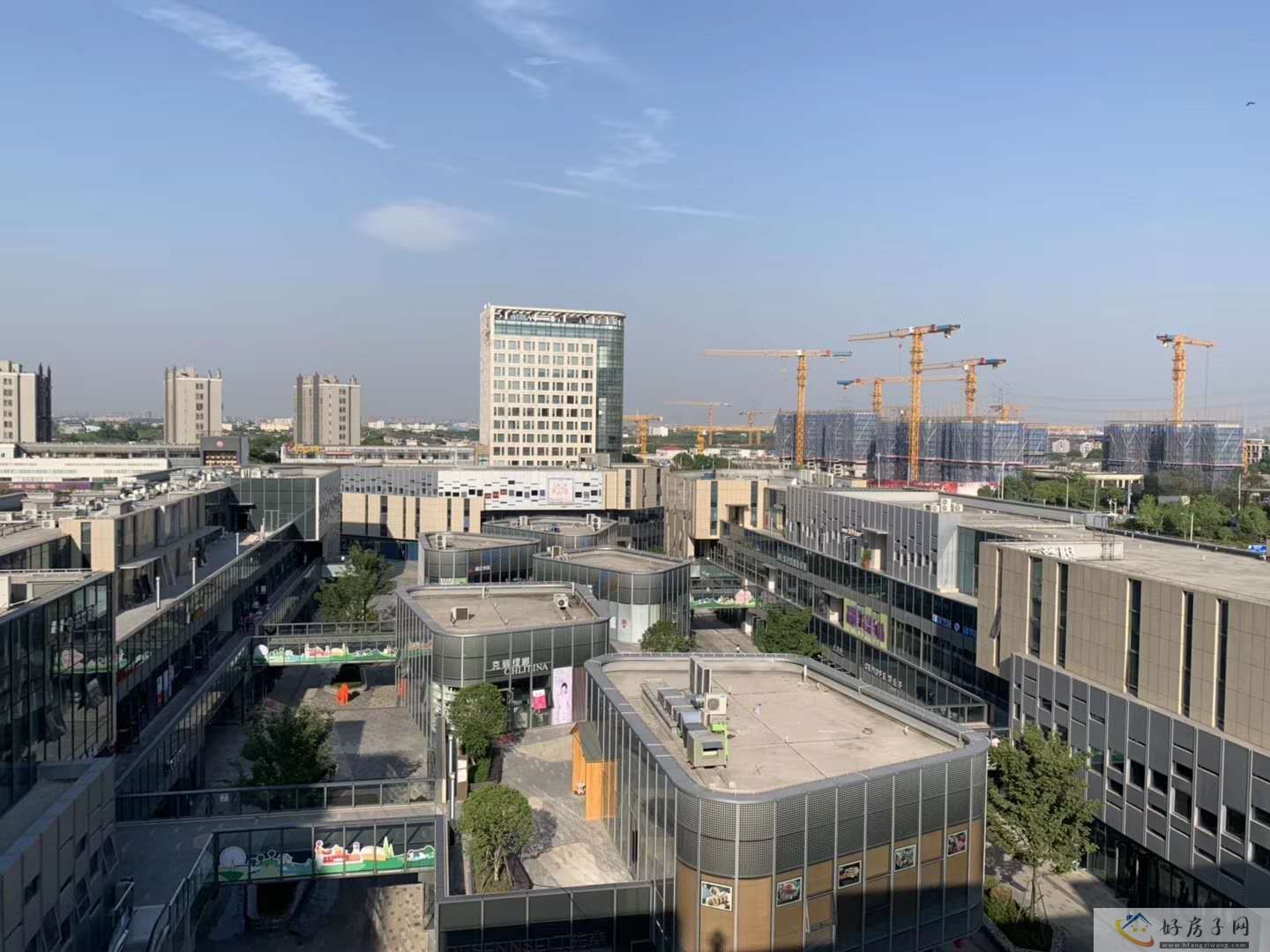 实景图