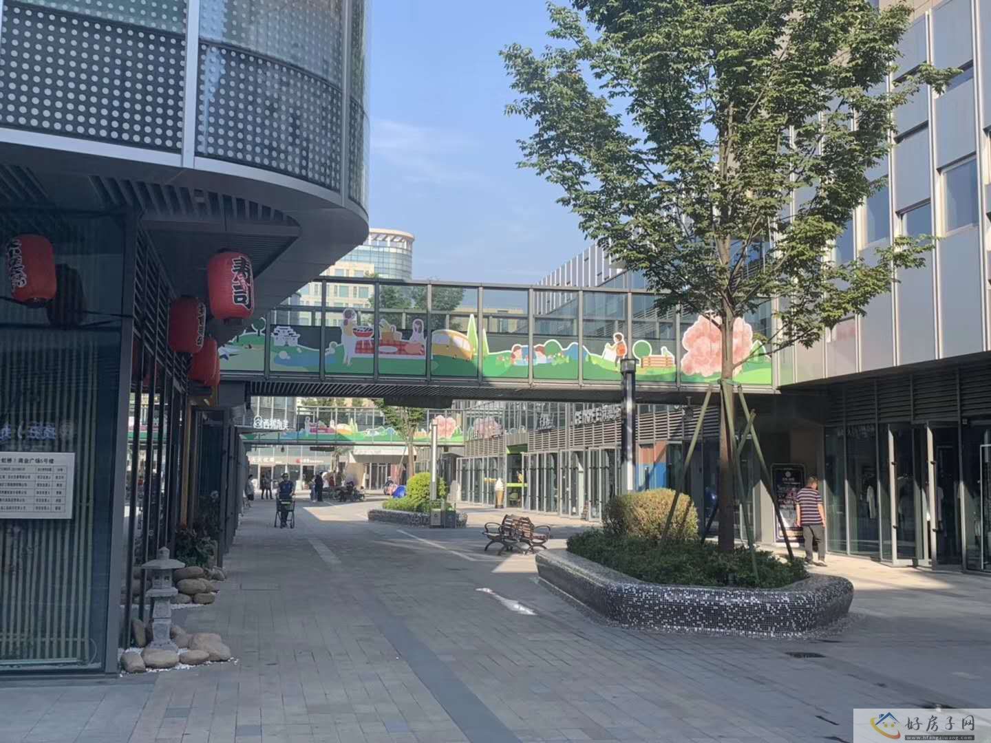实景图