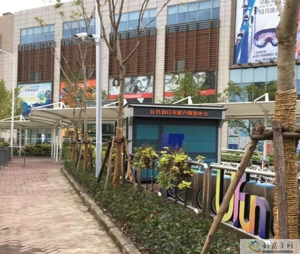 实景图