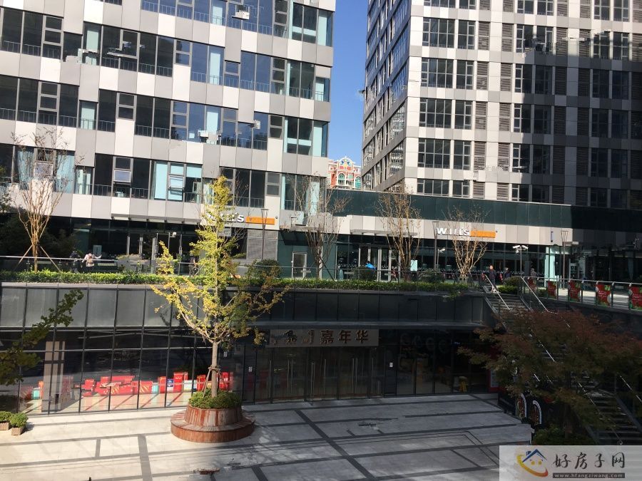 实景图