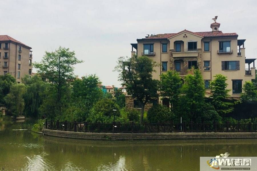 实景图