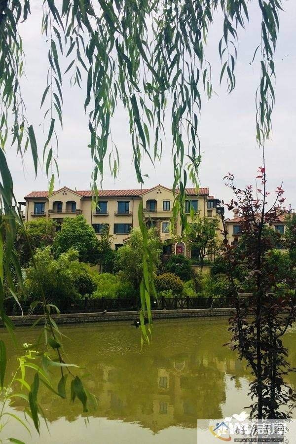 实景图