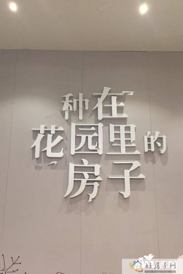 实景图