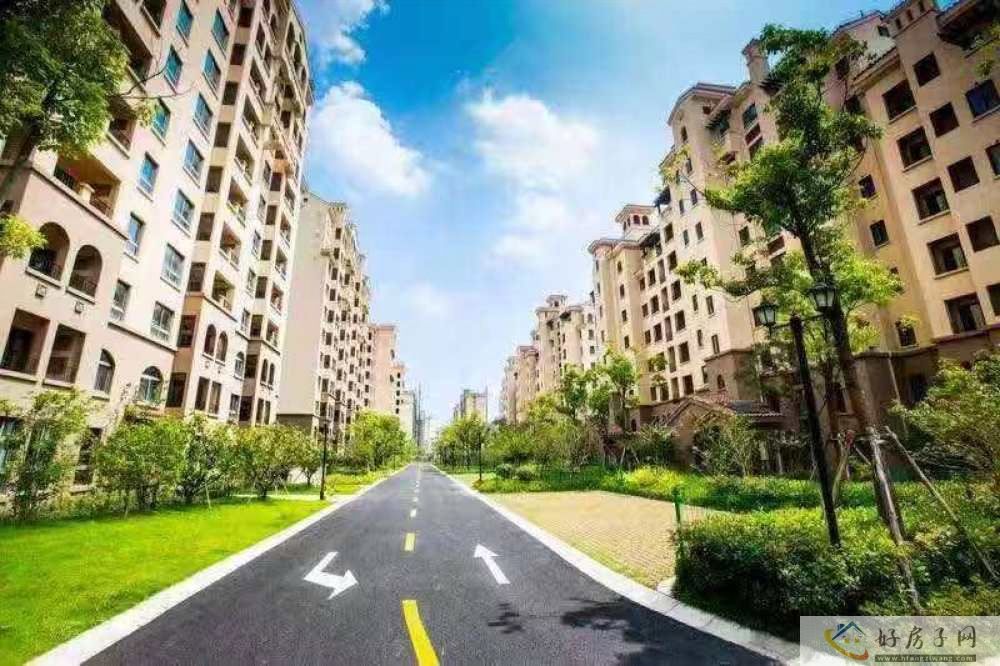 效果图
