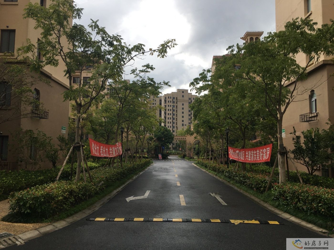 实景图