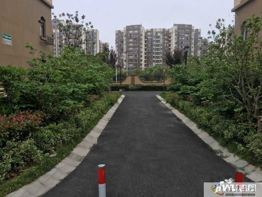 实景图