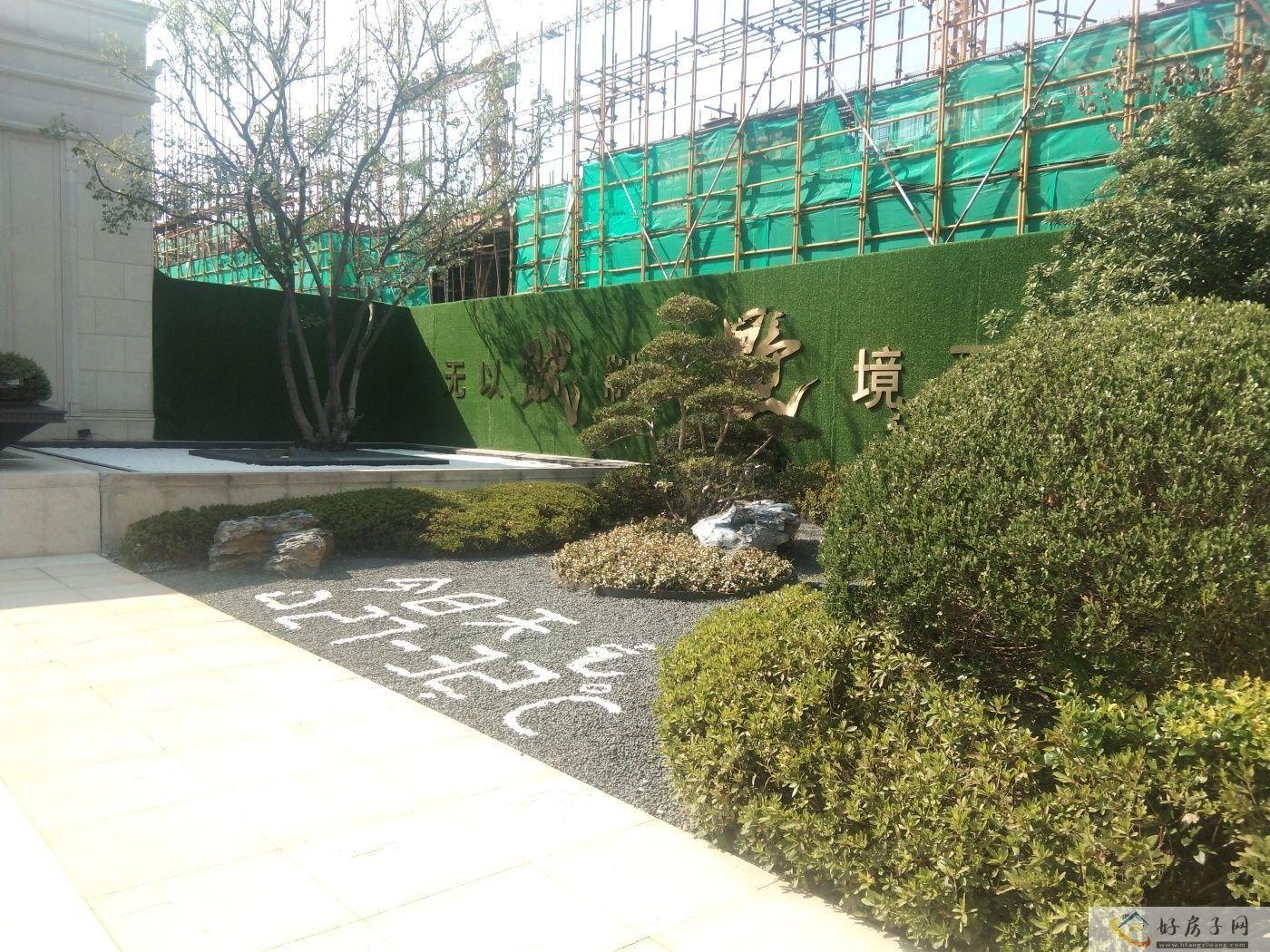实景图