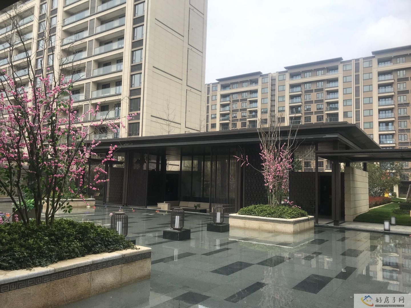 实景图