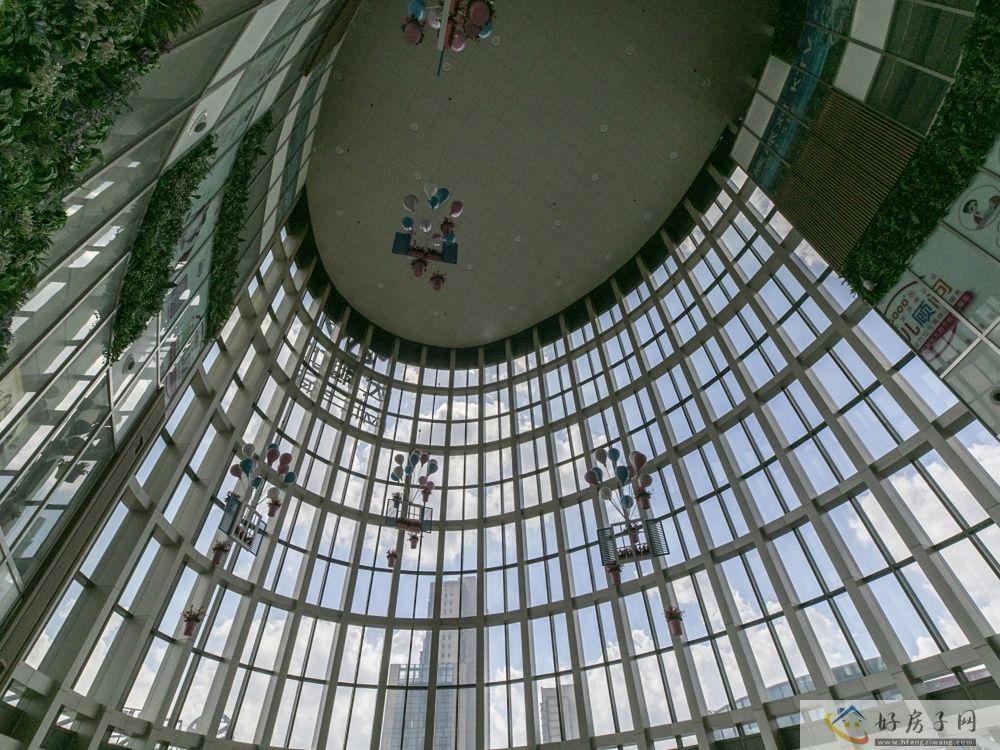 实景图