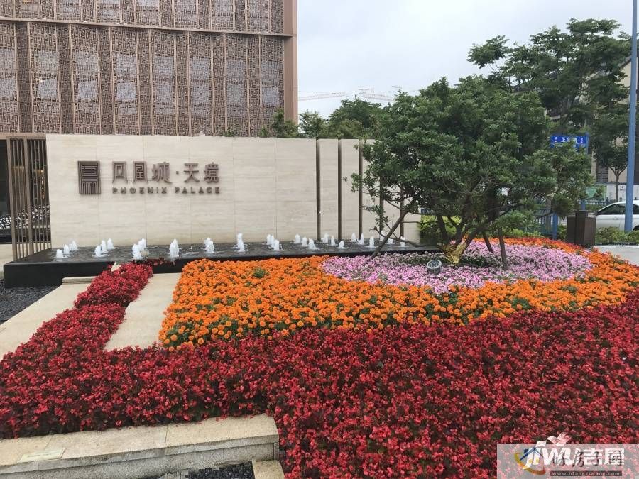 实景图