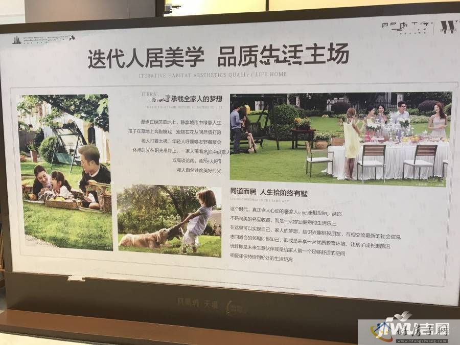 实景图