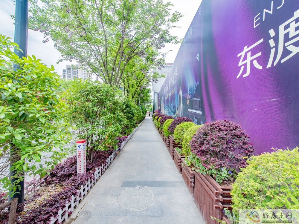 实景图