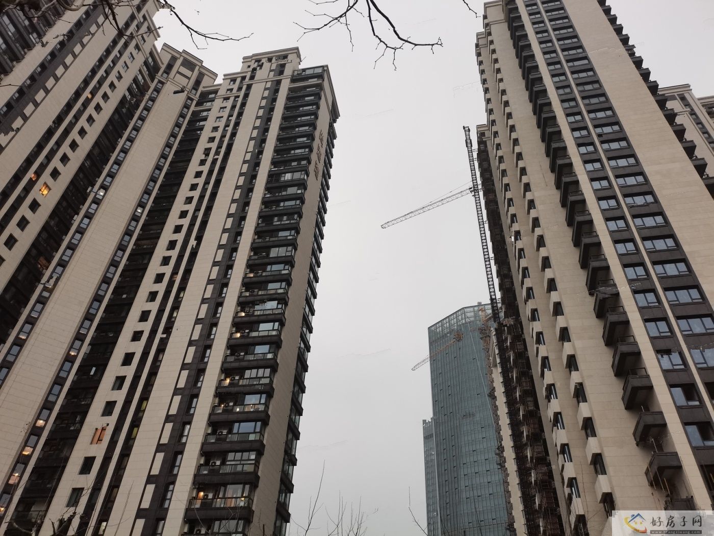 实景图