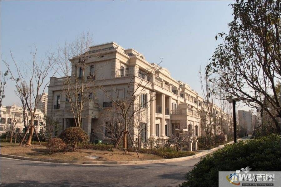 实景图