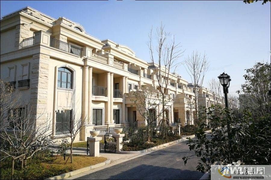 实景图