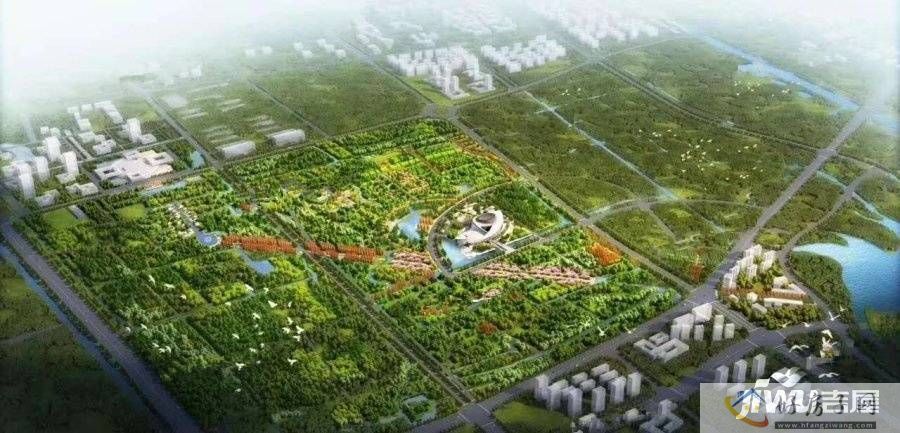 效果图
